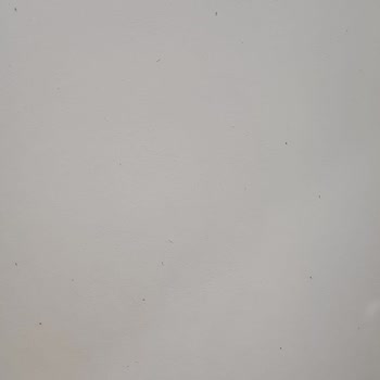 Mersin Büyükşehir Belediyesi Mersin/Anamur Sinek Şikayeti