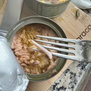 Dardanel Ton Balığından Kemik Çıktı!