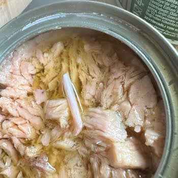 Dardanel Ton Balığından Kemik Çıktı!