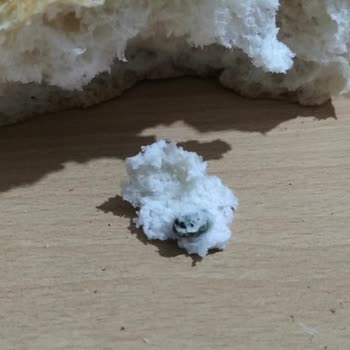 BİM Ekmekte Yabancı Cisim Şoku!