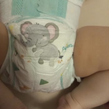 Prima Aktif Bebek Bezi