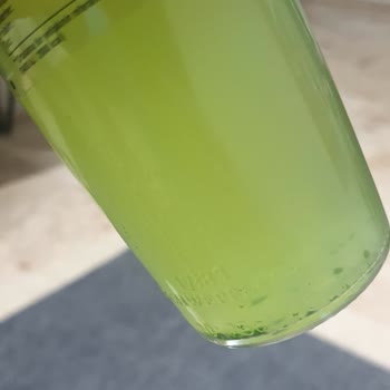 Schweppes Küflü Gazlı İçecek