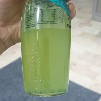 Schweppes Küflü Gazlı İçecek