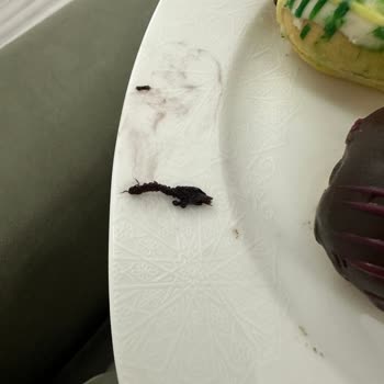 Ekleristan Eklerin İçinden Böcek Çıktı