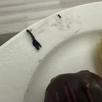 Ekleristan Eklerin İçinden Böcek Çıktı