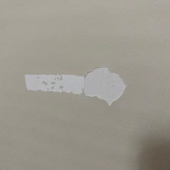 Jotun Boyanın Pişmanlığını Anlatıyorum