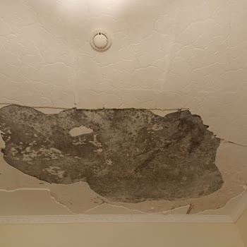 Emlak Konut GYO Bulvar İstanbul Tavandan Su Sızma Problemi