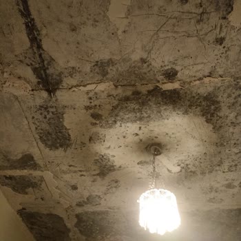 Emlak Konut GYO Bulvar İstanbul Tavandan Su Sızma Problemi