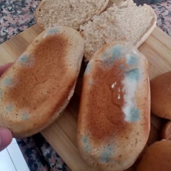 Harras Markasının Sandaviç Ekmeği Küflü Çıktı