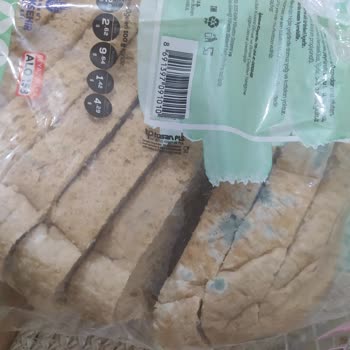 İstanbul Halk Ekmek Halk Ekmek Küflü Ekmek Satıyor