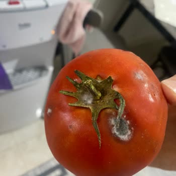 Arçelik 270531 Eb Buzdolabı