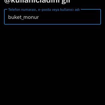 Twitter Hesabıma Kendi Telefonumdan Giriş Yapamıyorum