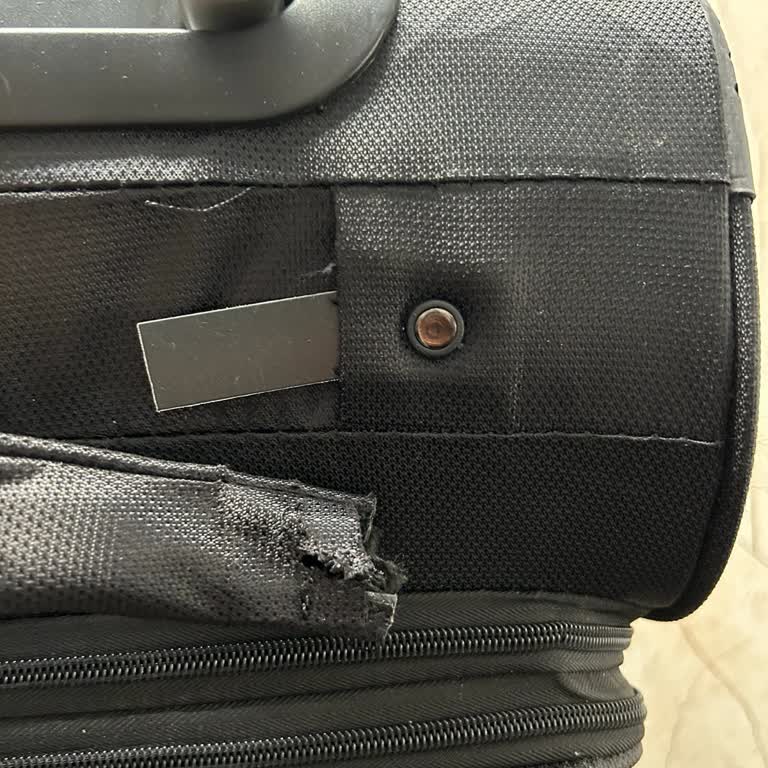 Elatae Çanta Sorunu Hakkında