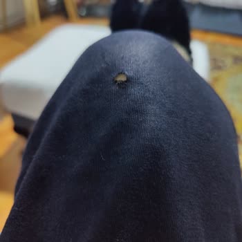 Kiğılı Pijama Takımı Deforme Sonrası İncelemeye Bile Almamak.