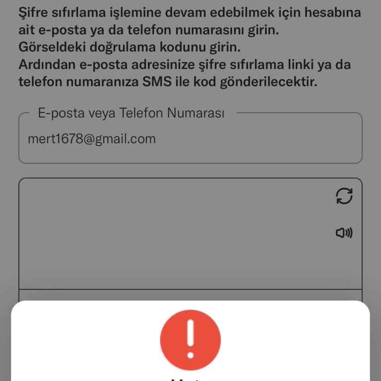 Anılar Kayboldu: Lifebox Erişim Sorunu!