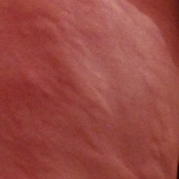 The Lifeco The Life Co Sac