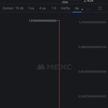 Mexc Borsasında Çöp Projelerle Dolu, Paramın Tamamını Sıfırladılar