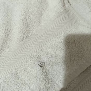 Siemens Ev Aletleri Çamaşırlarımı Yırtan Makine Hayal Kırıklığı