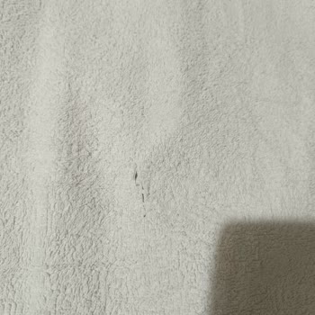 Siemens Ev Aletleri Çamaşırlarımı Yırtan Makine Hayal Kırıklığı