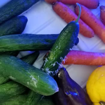 Arçelik Marka Buzdolabı Arızası!