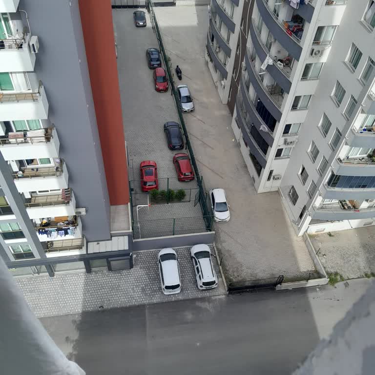 Adana Büyükşehir Belediyesi Çok Sayıda Saldırgan Köpek