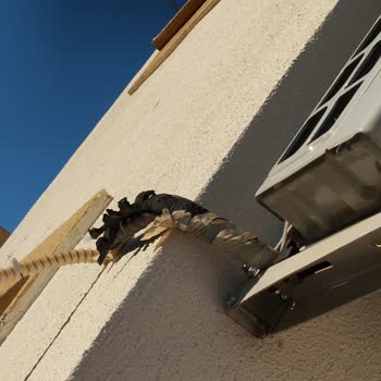 Baymak Servis Ve Genel Merkez İlgisizliği