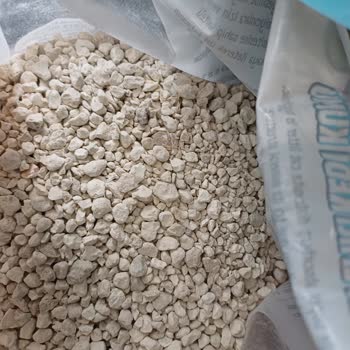 Jungle Pet Food Jungle Kedi Mucur