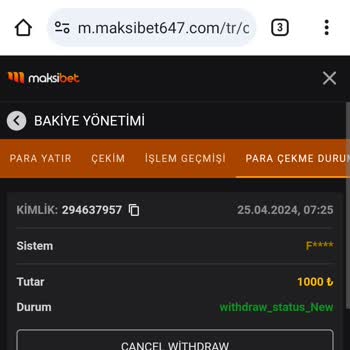 Maksibet Ödeme Sorunu: Sürekli Çekim Engeli