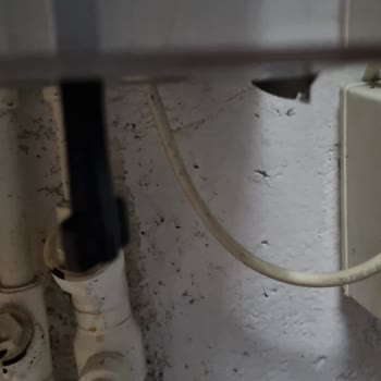 MTS Group (444 17 34) Yetkisiz Servis Sorunu Ve Müşteri Mağduriyeti