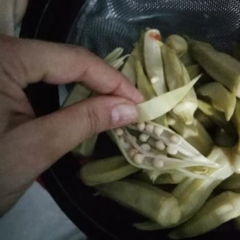 Tat Gıda Tat Sultani Konserve Bamya Kıymık Gibi Kartlaşmış Bembeyaz...