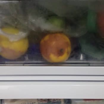 Arçelik Buzdolabı Ne Varsa Çürütüyor