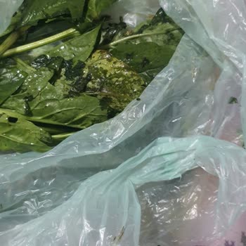 Arçelik Buzdolabı Ne Varsa Çürütüyor