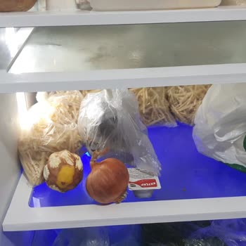 Arçelik Buzdolabı Ne Varsa Çürütüyor
