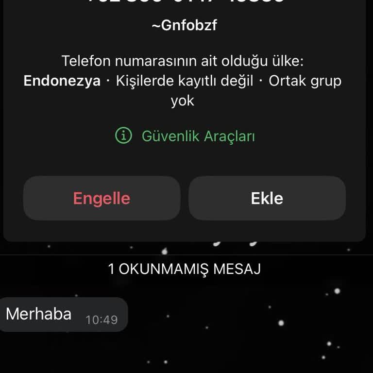WhatsApp +62 Kodlu Mesaj