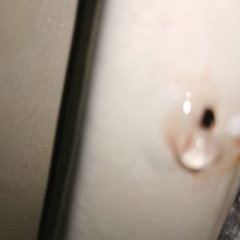 Seramiksan Klozet Kapağı Ve Su Akıntısı Problemi