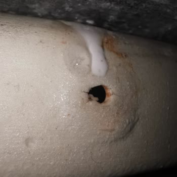 Seramiksan Klozet Kapağı Ve Su Akıntısı Problemi