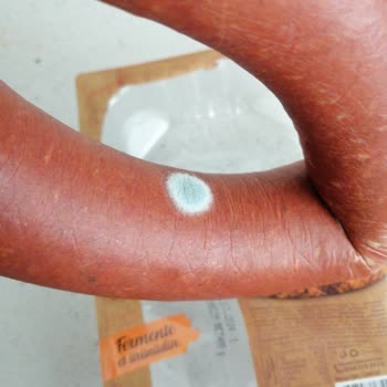 Maret Dana Sucuk Küflü