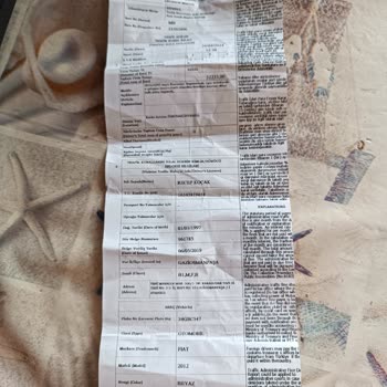 Martı Tag Mağduriyeti Sözlerin Tutulmaması
