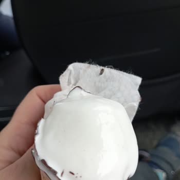 Algida Cornetto Classico Dondurmadan Böcek Çıktı