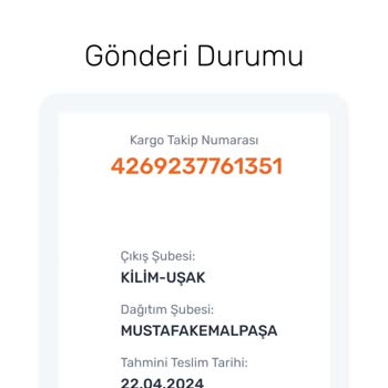 Aras Kargo Kilim Uşak Şubesi