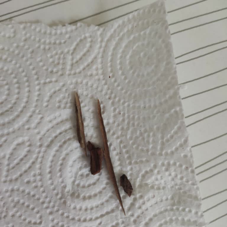 Piyale Makarnanın İçinden Tahta Parçaları Çıktı