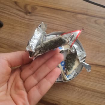 İçim Süt ve Süt Ürünleri İçim' İn Küflü Üçgen Peynirleri