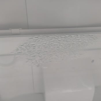 Bosch Sebzeleri Çürümesi Ve Su Oluşumu