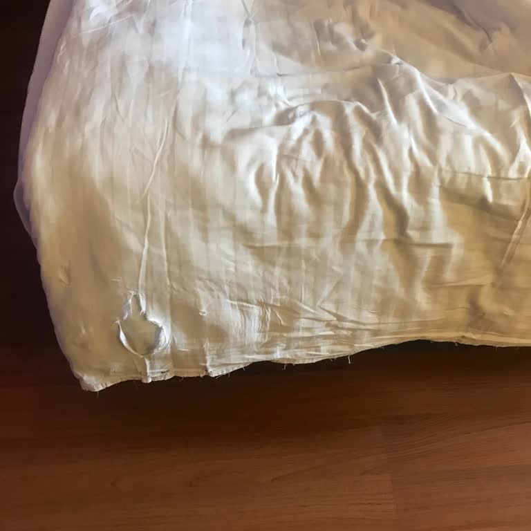 Gençaystar Travel Gencaystar Tur Şirketi