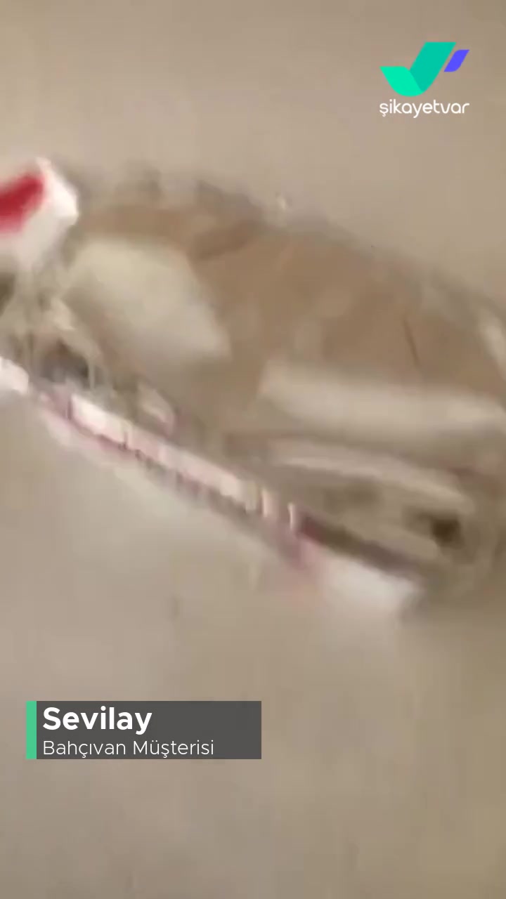 Bahçıvan Küflü Süzme Peynir! videonun kapak resmi