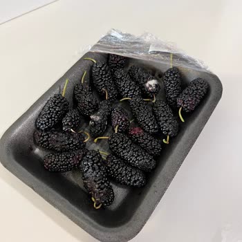 Carrefour SA Gurme Küflenmiş Ve Bayat Ürünler