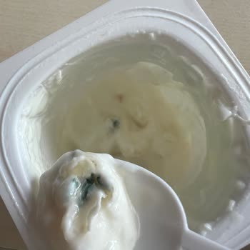 Danone Tikveşli Probiyotik Üründe Küf Şoku!