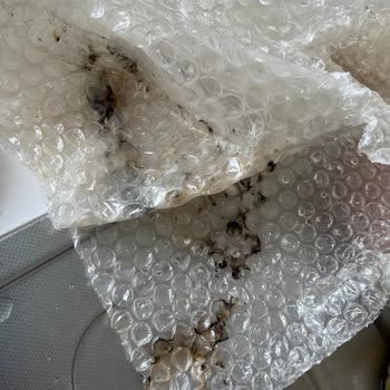 Ege Yöresel Pazar İnternet Sitesinden Alışveriş Yapmak İsteyenler