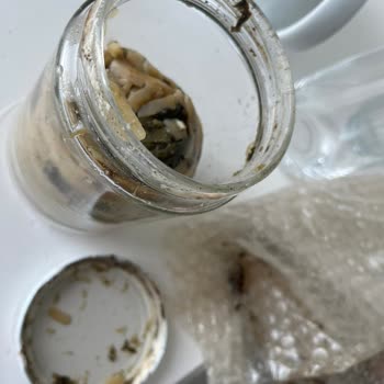 Ege Yöresel Pazar İnternet Sitesinden Alışveriş Yapmak İsteyenler