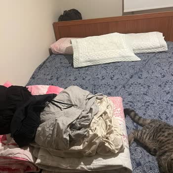 Wingoof Profesyonel Temizlik Wingoof Clean Joy Gafil Avlıyor